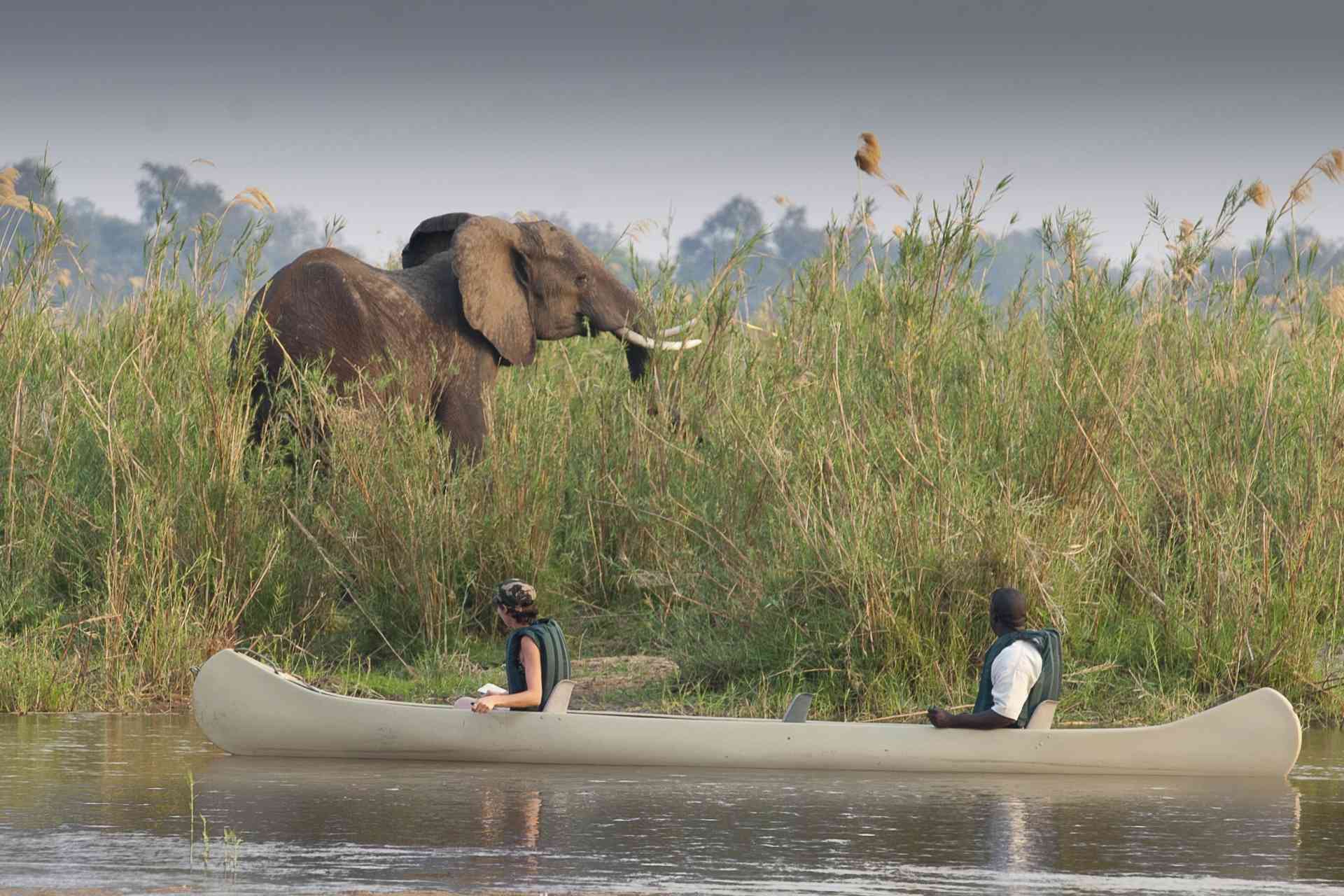 lower-zambezi-national-park-bunnik-tours